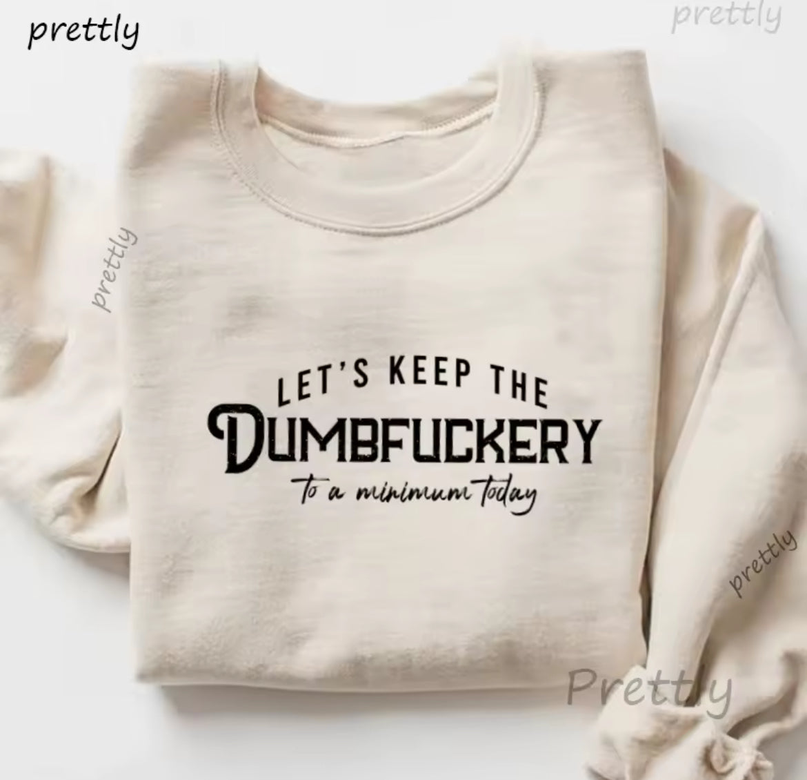 “Let’s Keep The Dumbfuckery To A Minimum” Women’s Sweatshirt