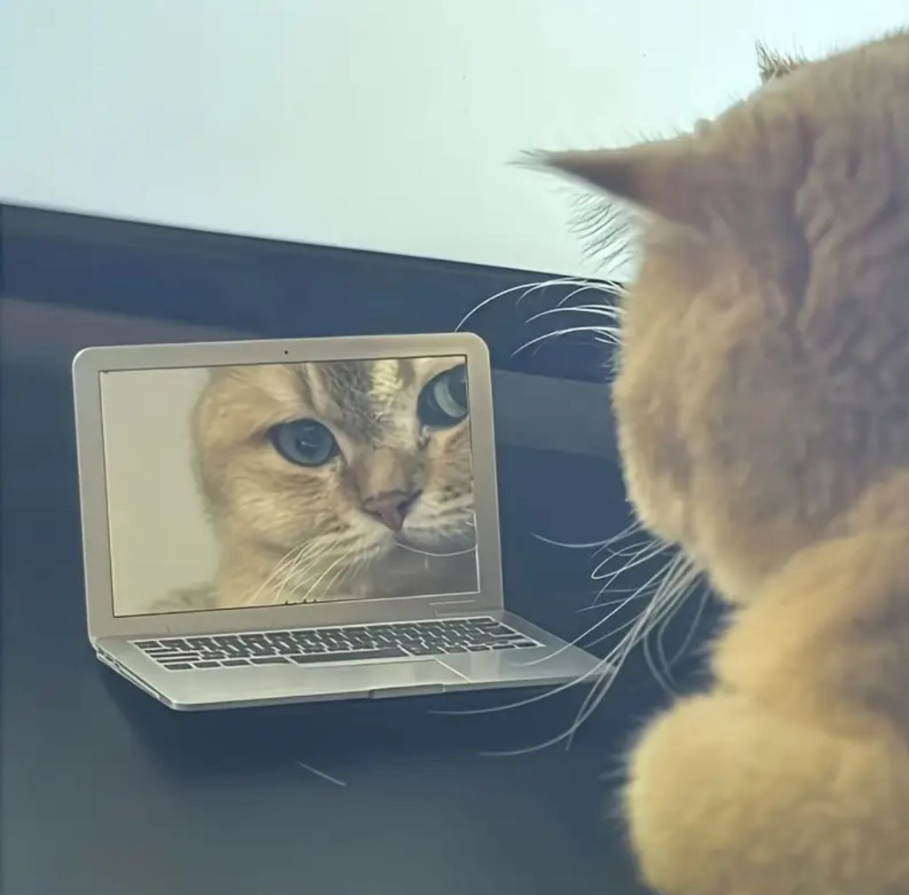 1pc Mini Portable Folding Laptop-Shaped Glass Surface Mirror with Built-in Stand-like Design