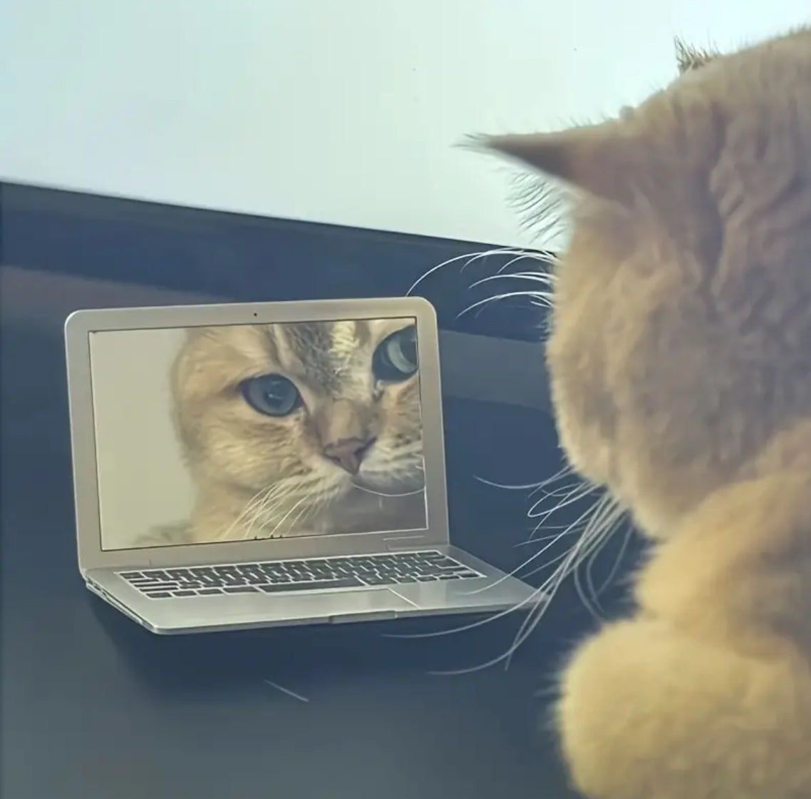 1pc Mini Portable Folding Laptop-Shaped Glass Surface Mirror with Built-in Stand-like Design