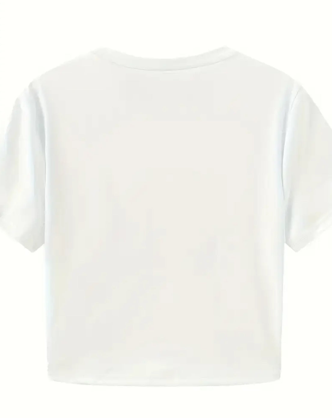 “THAT’S A TERRIBLE IDEA” Women’s Crop Top