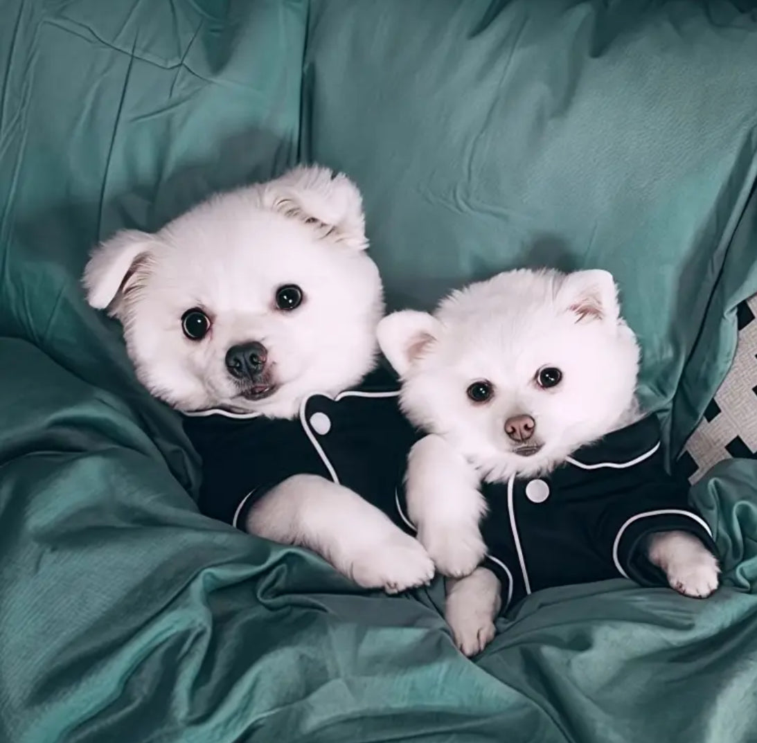 Doggy Pajamas