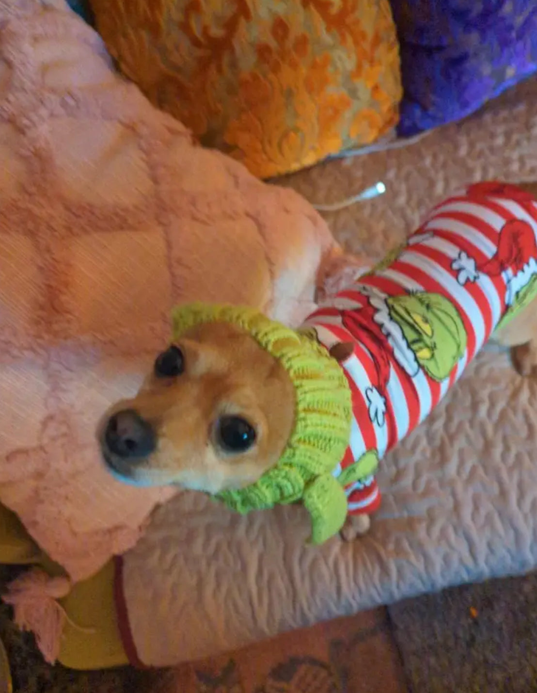 Posh Pets 🐾 “Baby Yoda” 1pc Knitted Ear Muffs Hat-Scarf