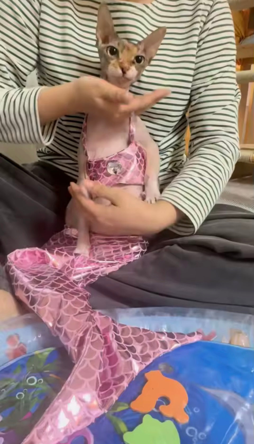 Pet Mermaid Bathing-Suit Costumes | Knit Elastane Fabric, Pullover Style