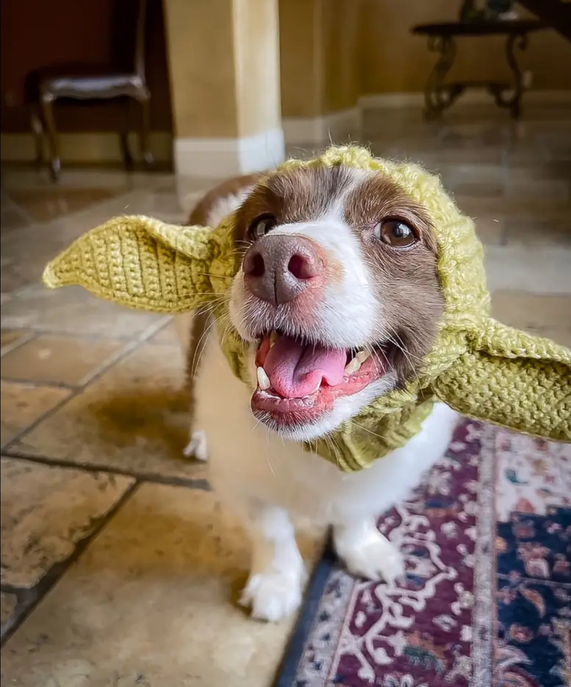 Posh Pets 🐾 “Baby Yoda” 1pc Knitted Ear Muffs Hat-Scarf