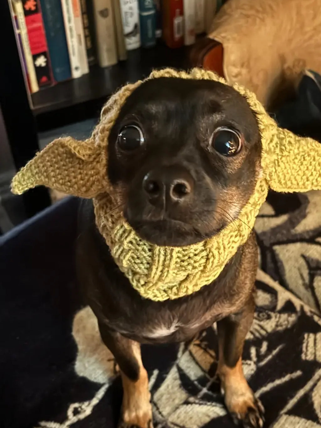 Posh Pets 🐾 “Baby Yoda” 1pc Knitted Ear Muffs Hat-Scarf