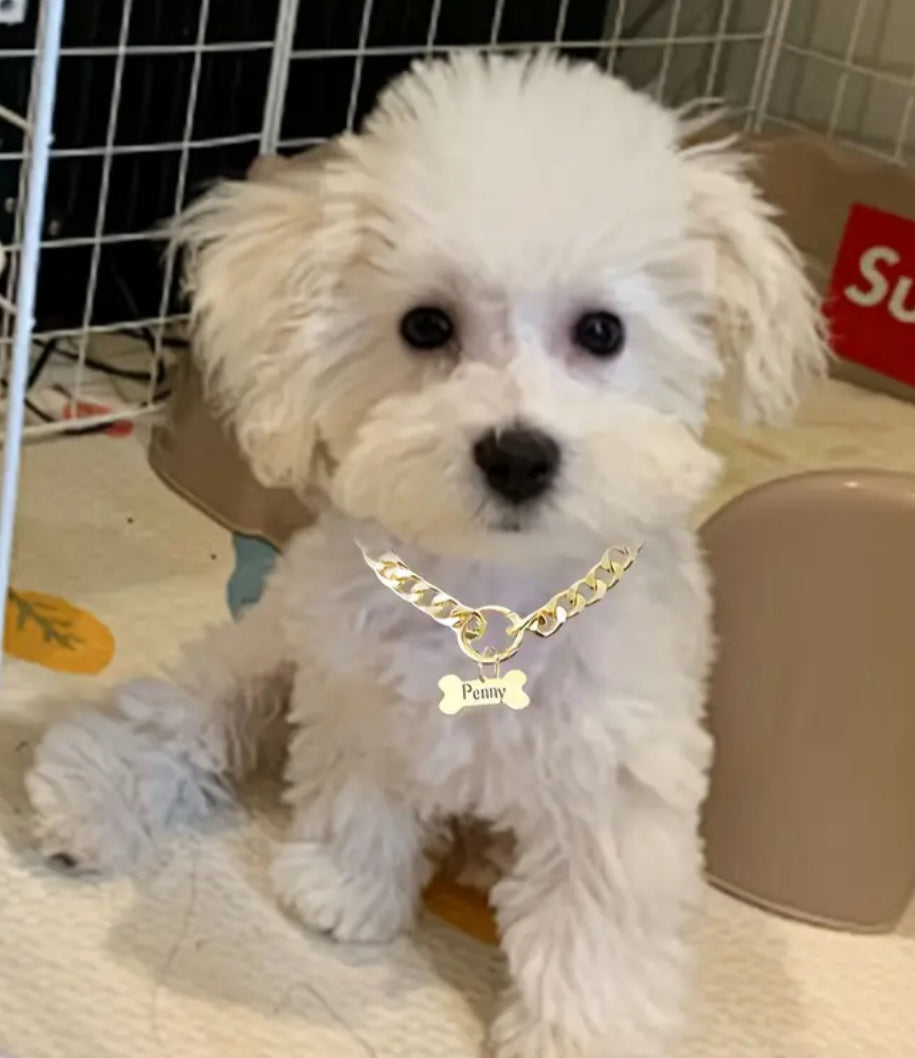 Sleek Stainless Steel Personalized Pet Tag Necklace