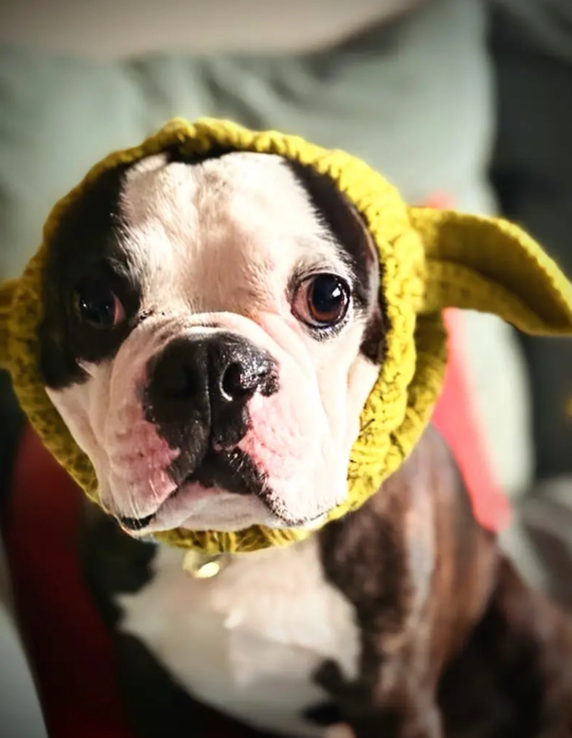 Posh Pets 🐾 “Baby Yoda” 1pc Knitted Ear Muffs Hat-Scarf