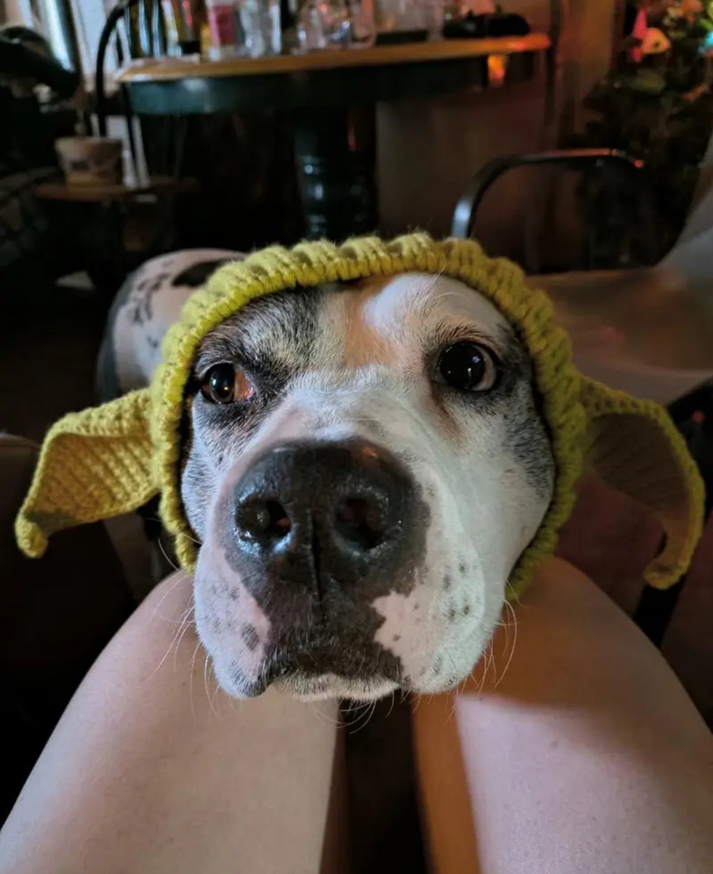 Posh Pets 🐾 “Baby Yoda” 1pc Knitted Ear Muffs Hat-Scarf