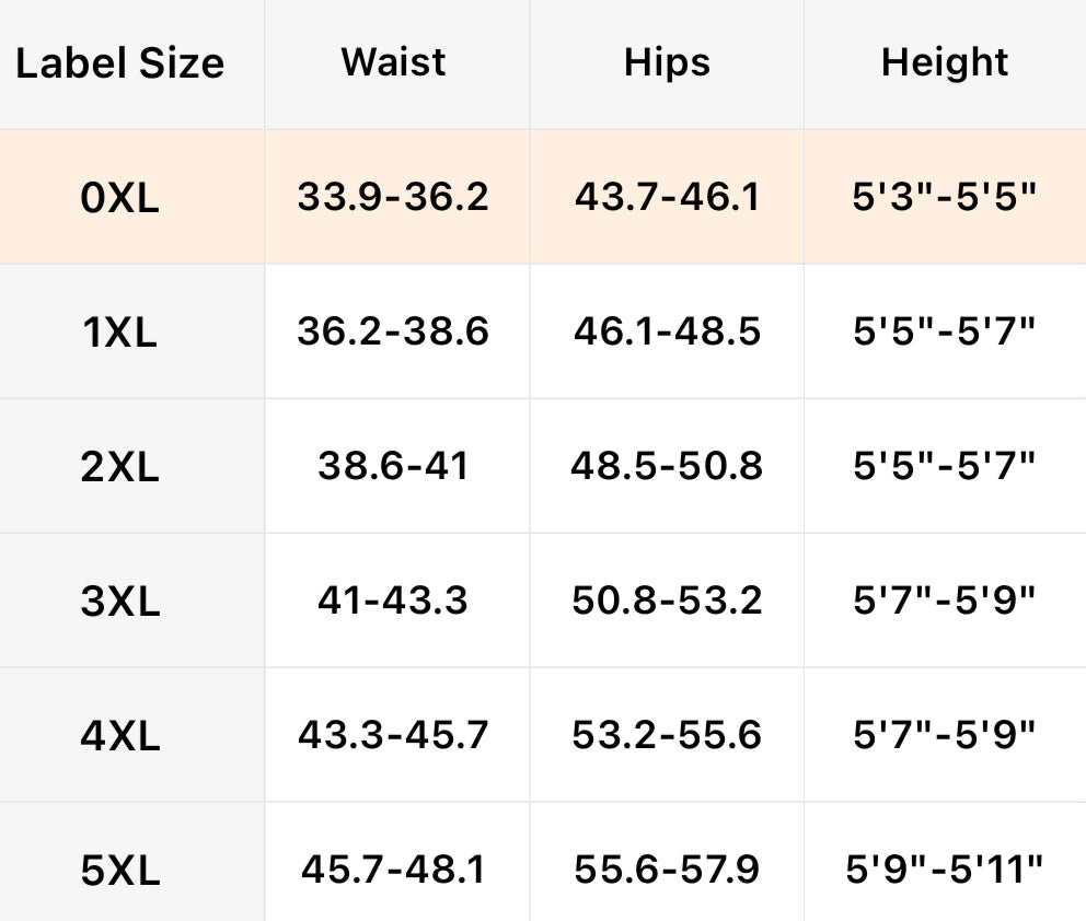 Elegant Plus Size Women's V-Neck with Lace Detail | Sheer Mesh Long Tulle Dress