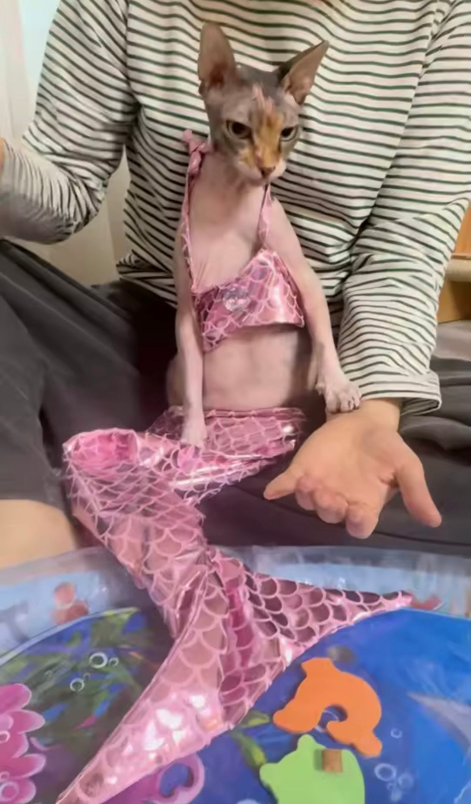 Pet Mermaid Bathing-Suit Costumes | Knit Elastane Fabric, Pullover Style