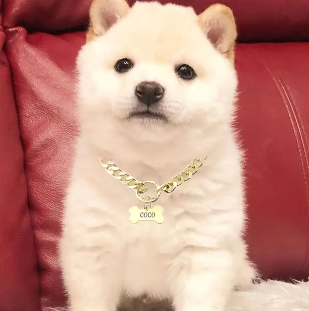 Sleek Stainless Steel Personalized Pet Tag Necklace