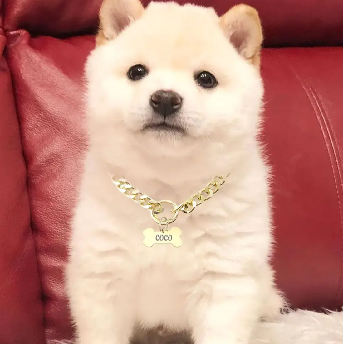 Sleek Stainless Steel Personalized Pet Tag Necklace