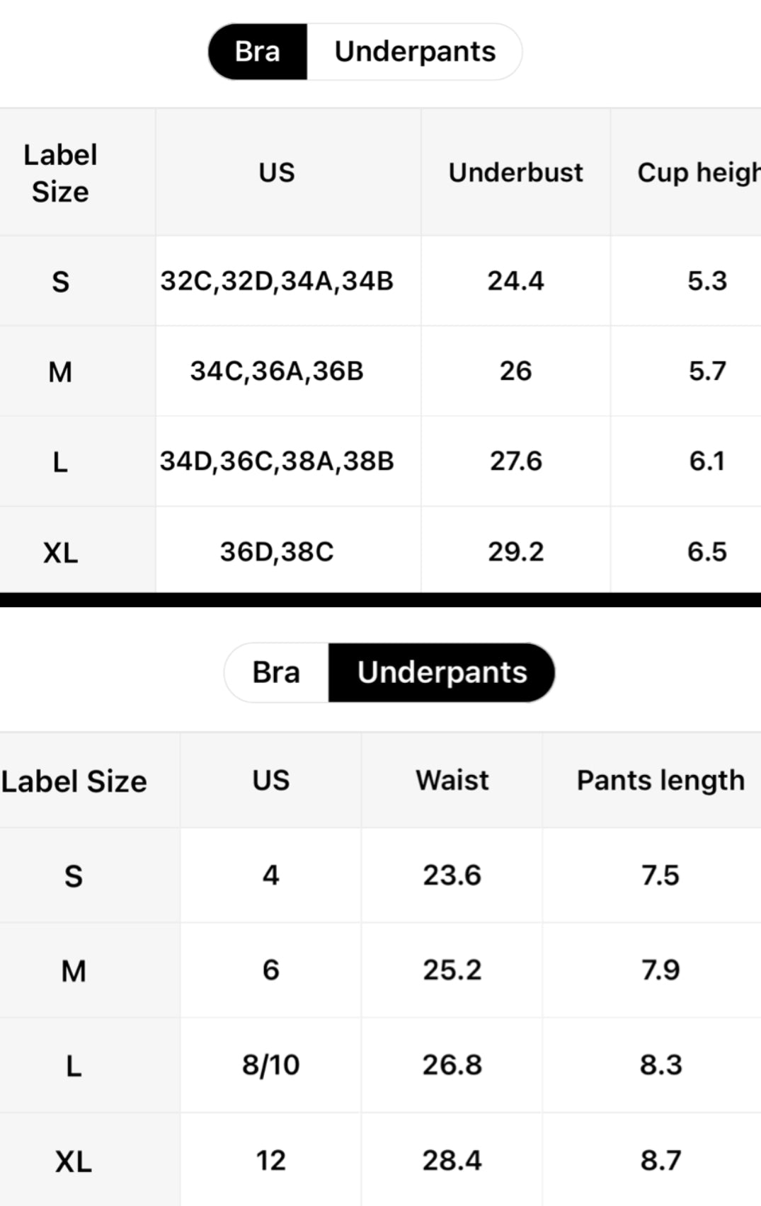 Intricate Luxury Floral Design Non-See-Through Push-Up Bra & Matching Thong Set