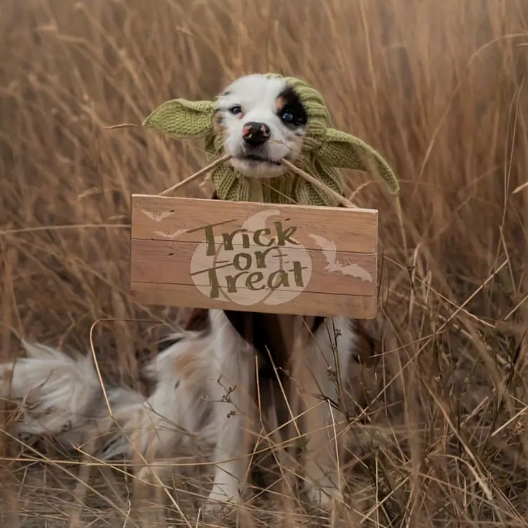 Posh Pets 🐾 “Baby Yoda” 1pc Knitted Ear Muffs Hat-Scarf