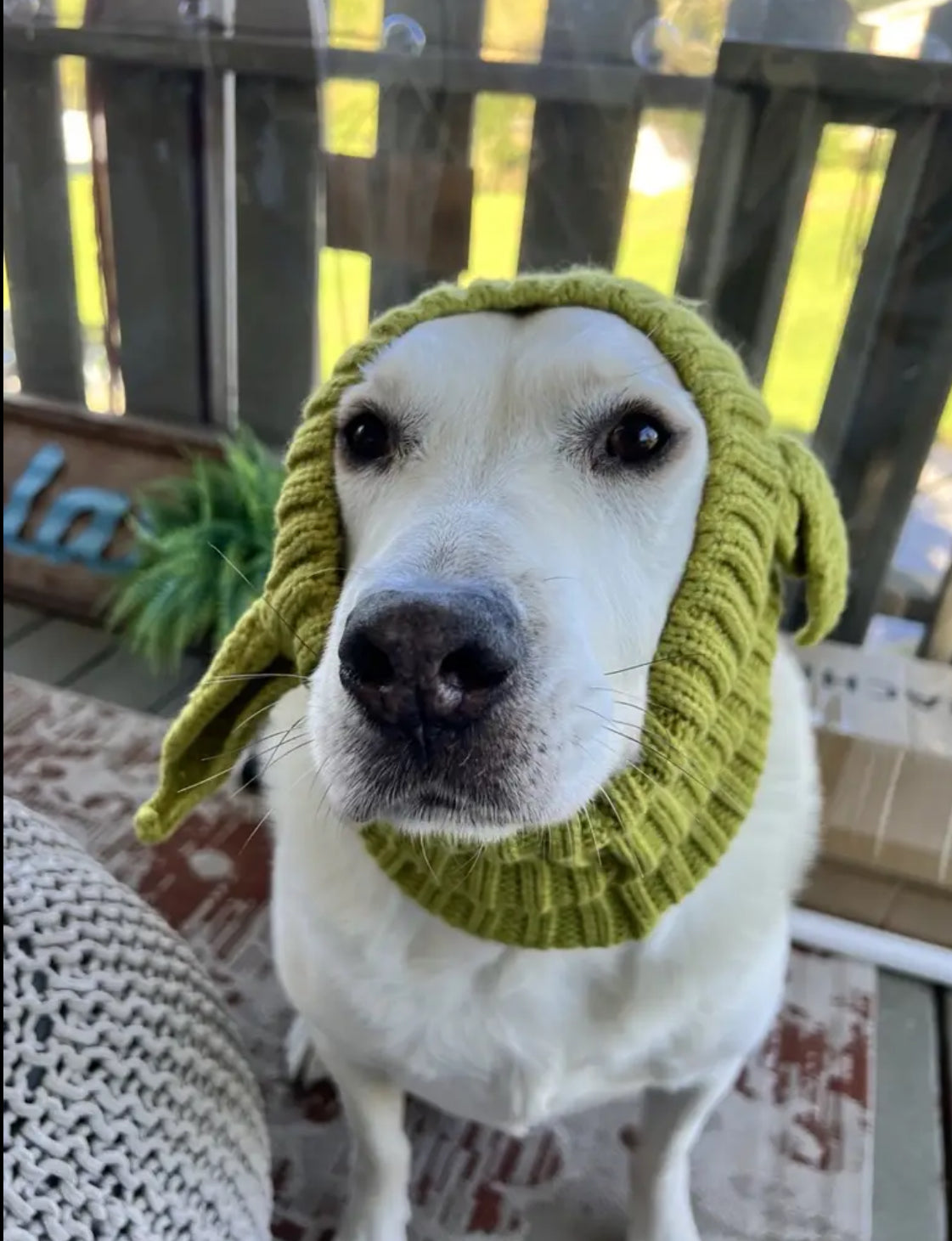 Posh Pets 🐾 “Baby Yoda” 1pc Knitted Ear Muffs Hat-Scarf