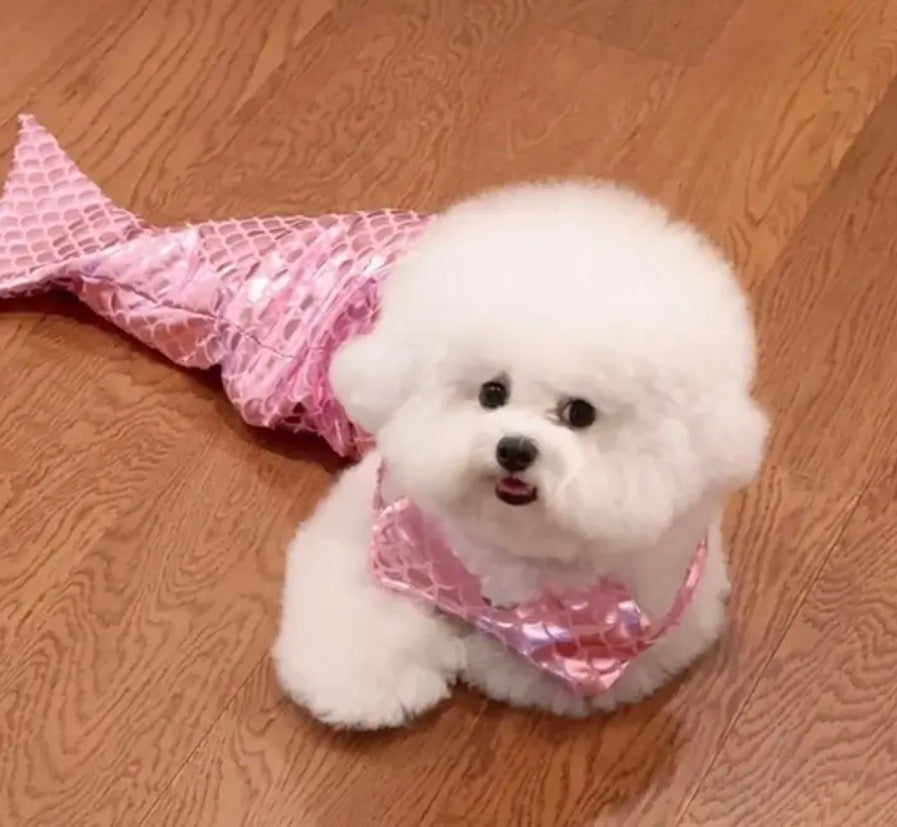 Pet Mermaid Bathing-Suit Costumes | Knit Elastane Fabric, Pullover Style