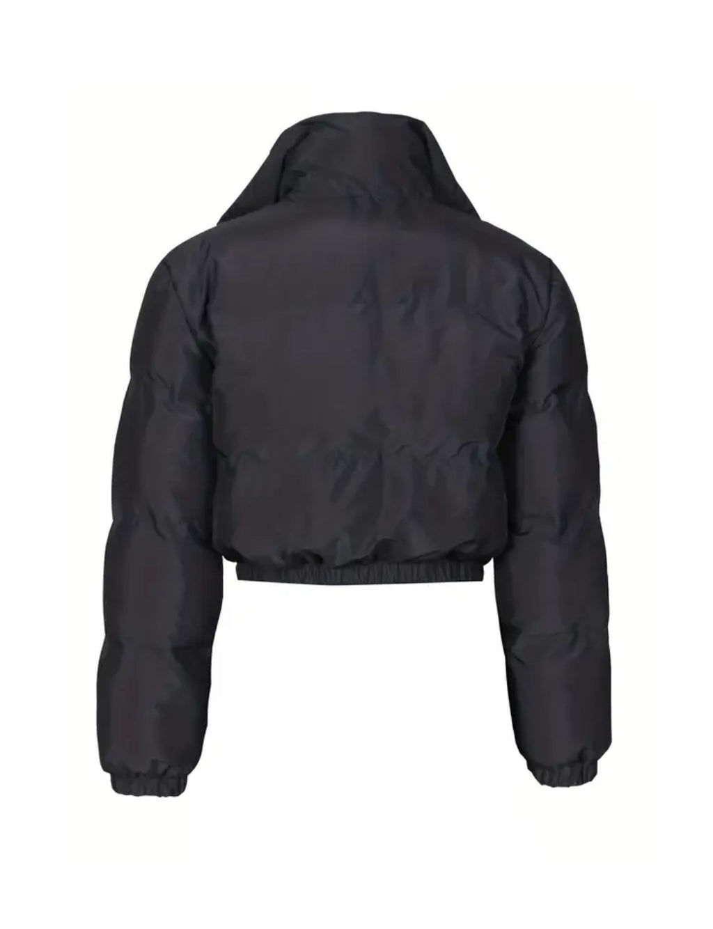 Posh Plus Bomber | European and American Style Short Jacket 