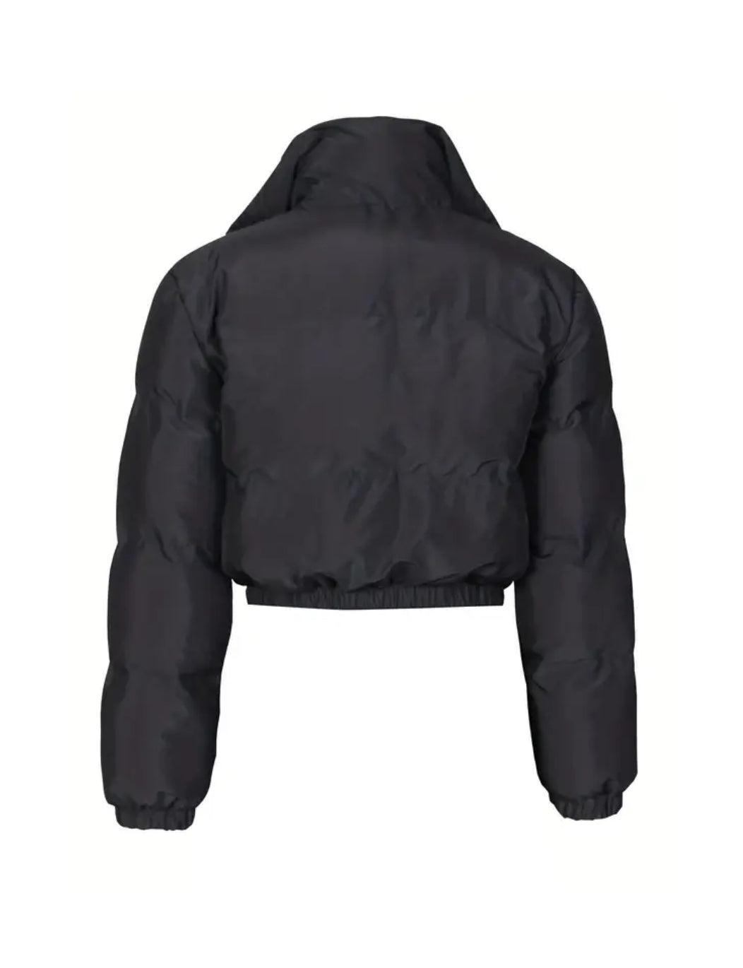 Posh Plus Bomber | European and American Style Short Jacket 