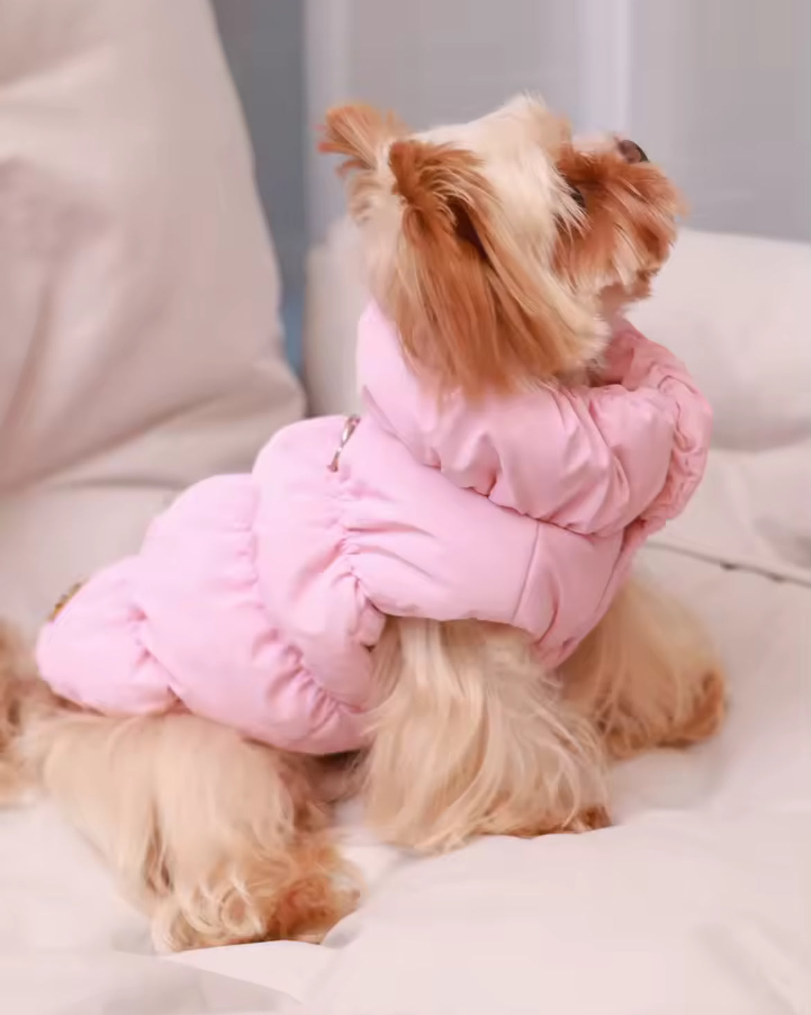 “Puff Posh Pets” 3-Layer Thick Warm Outerwear Winter Coat