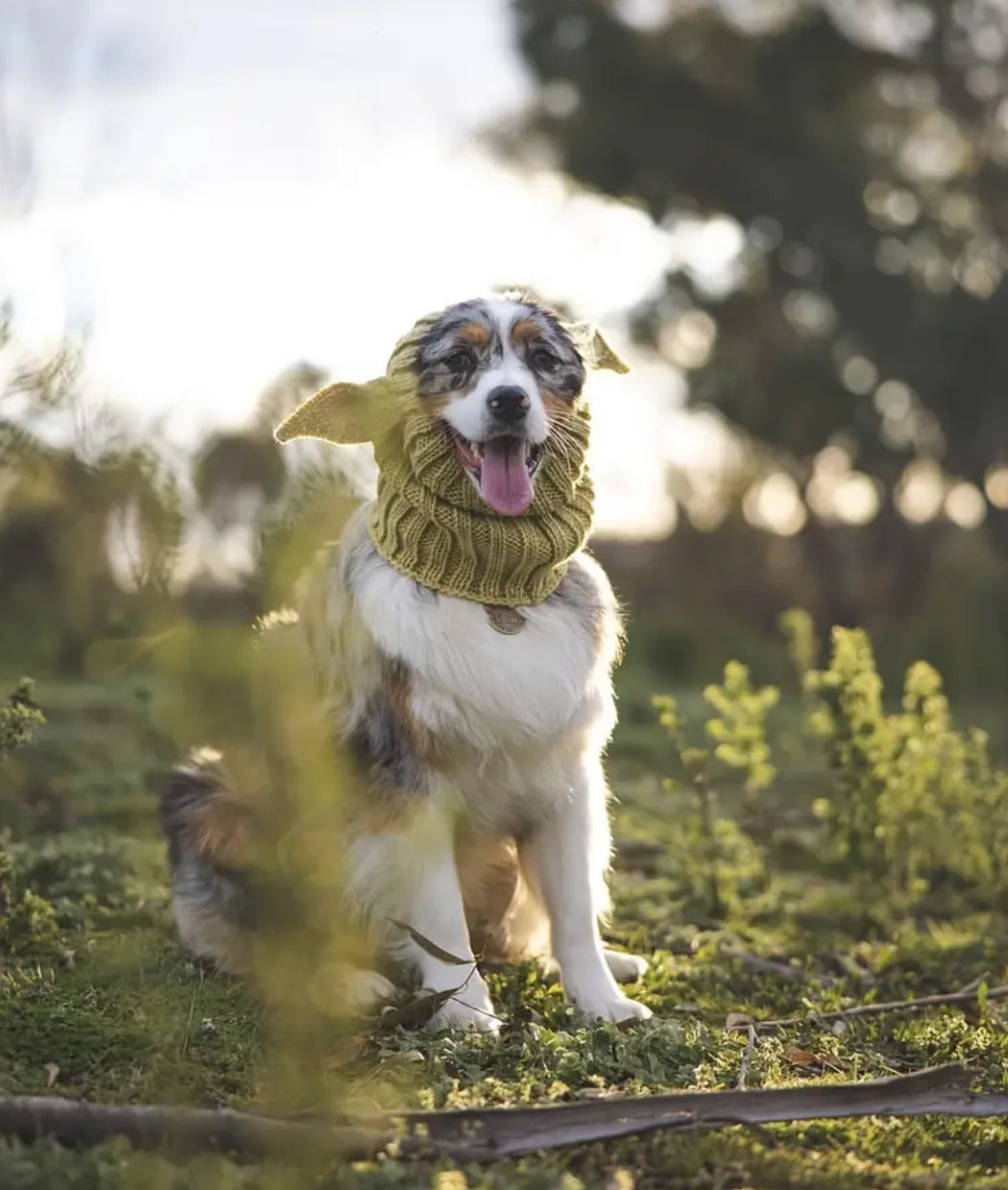 Posh Pets 🐾 “Baby Yoda” 1pc Knitted Ear Muffs Hat-Scarf