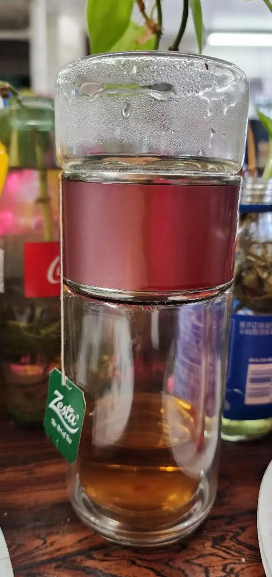 Double Walled Glass Tea Portable Bottle With Infuser |9.5 oz