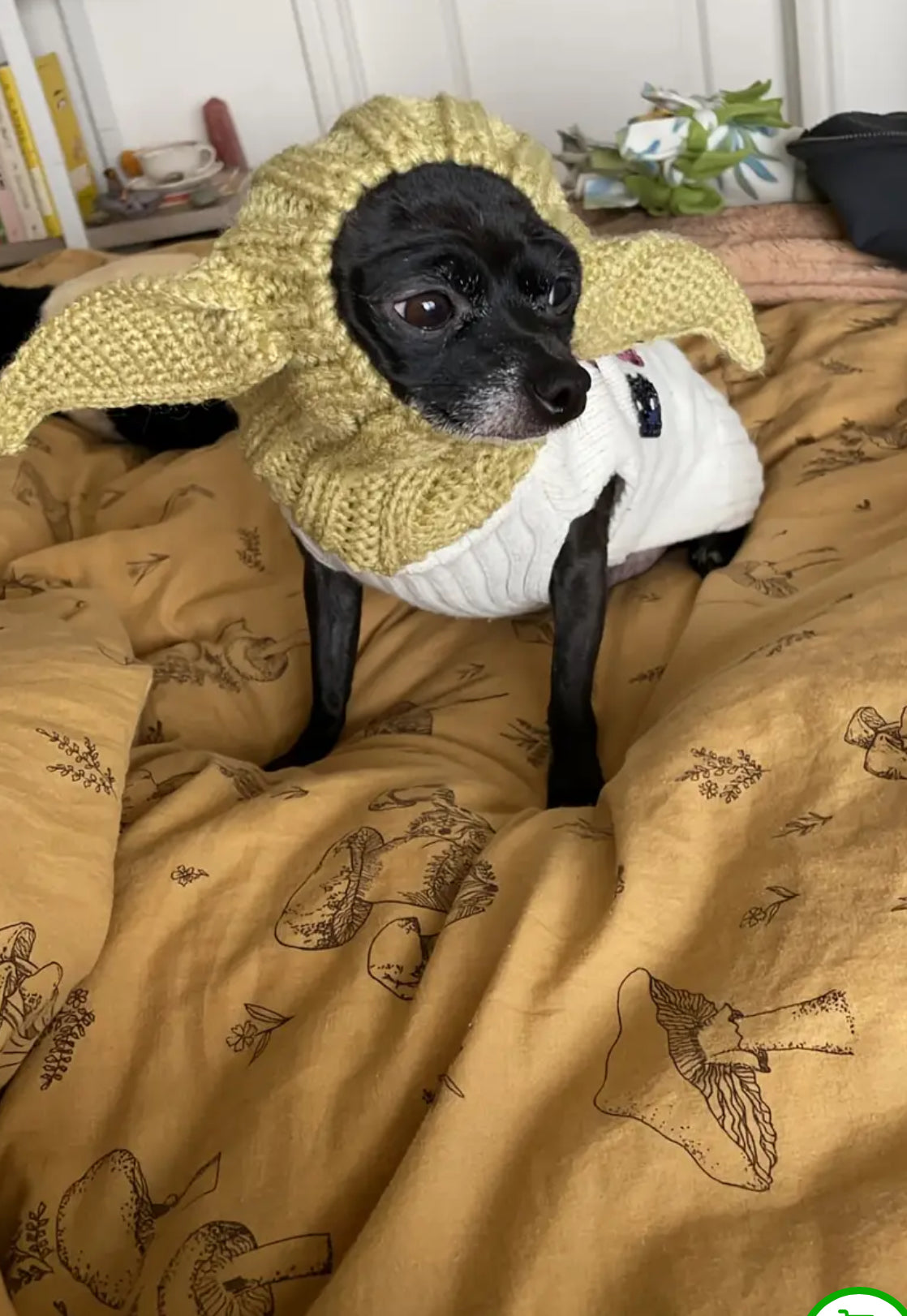 Posh Pets 🐾 “Baby Yoda” 1pc Knitted Ear Muffs Hat-Scarf