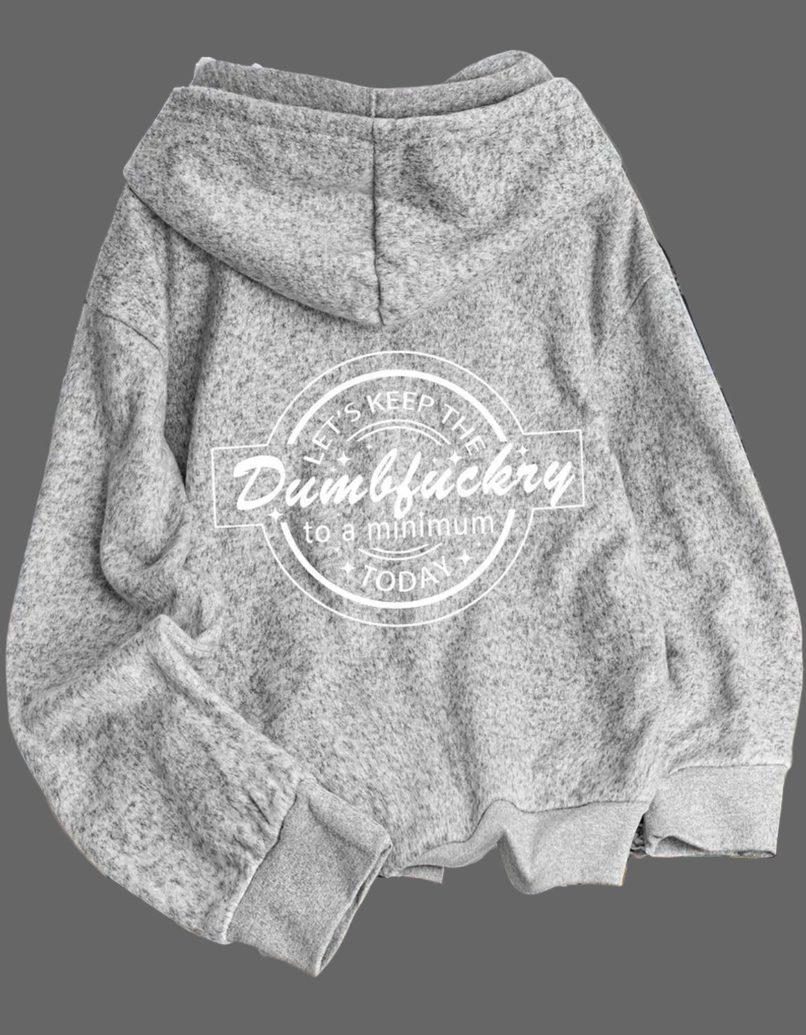 Plus Posh Curves Sweatshirt “Lets Keep The Dumbfuckry To A Minimum Today”  