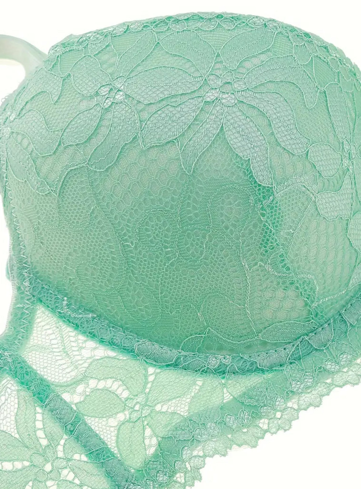 Intricate Luxury Floral Design Non-See-Through Push-Up Bra & Matching Thong Set