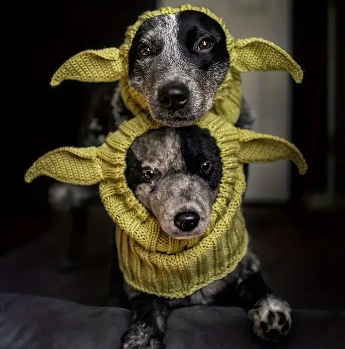 Posh Pets 🐾 “Baby Yoda” 1pc Knitted Ear Muffs Hat-Scarf