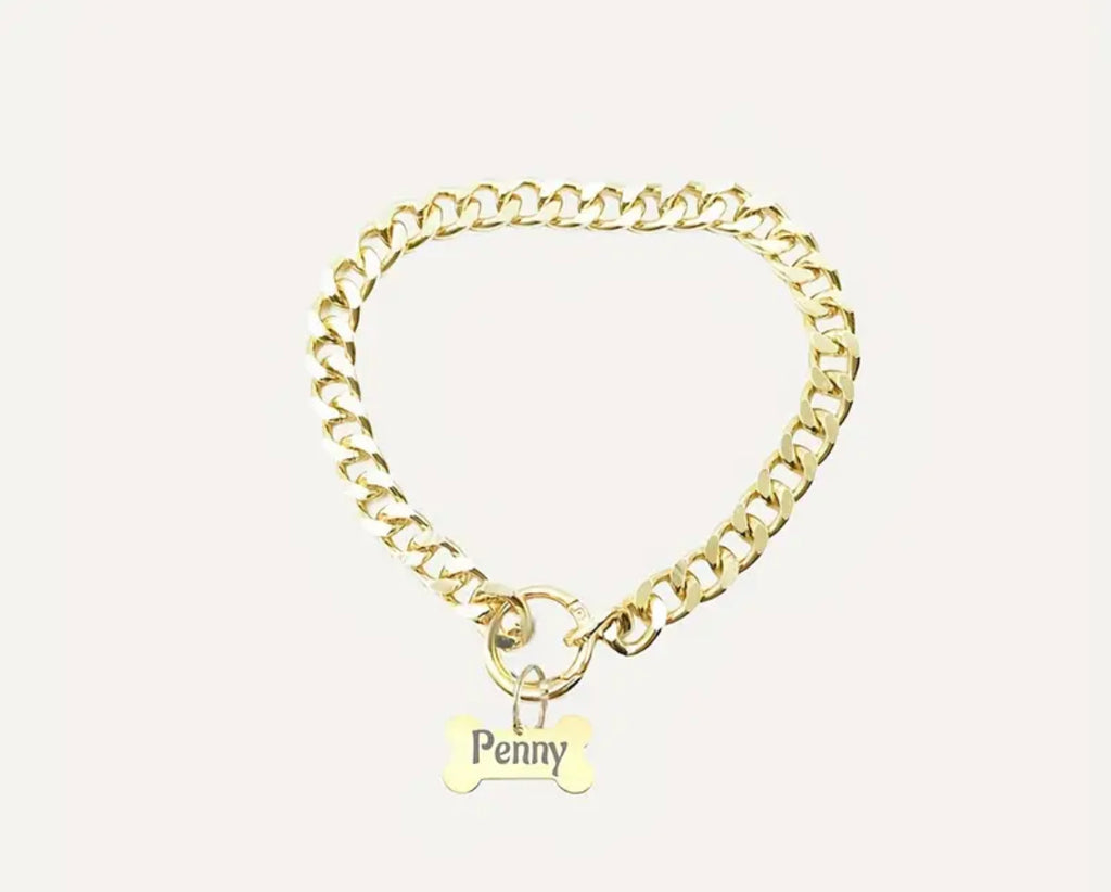 Sleek Stainless Steel Personalized Pet Tag Necklace