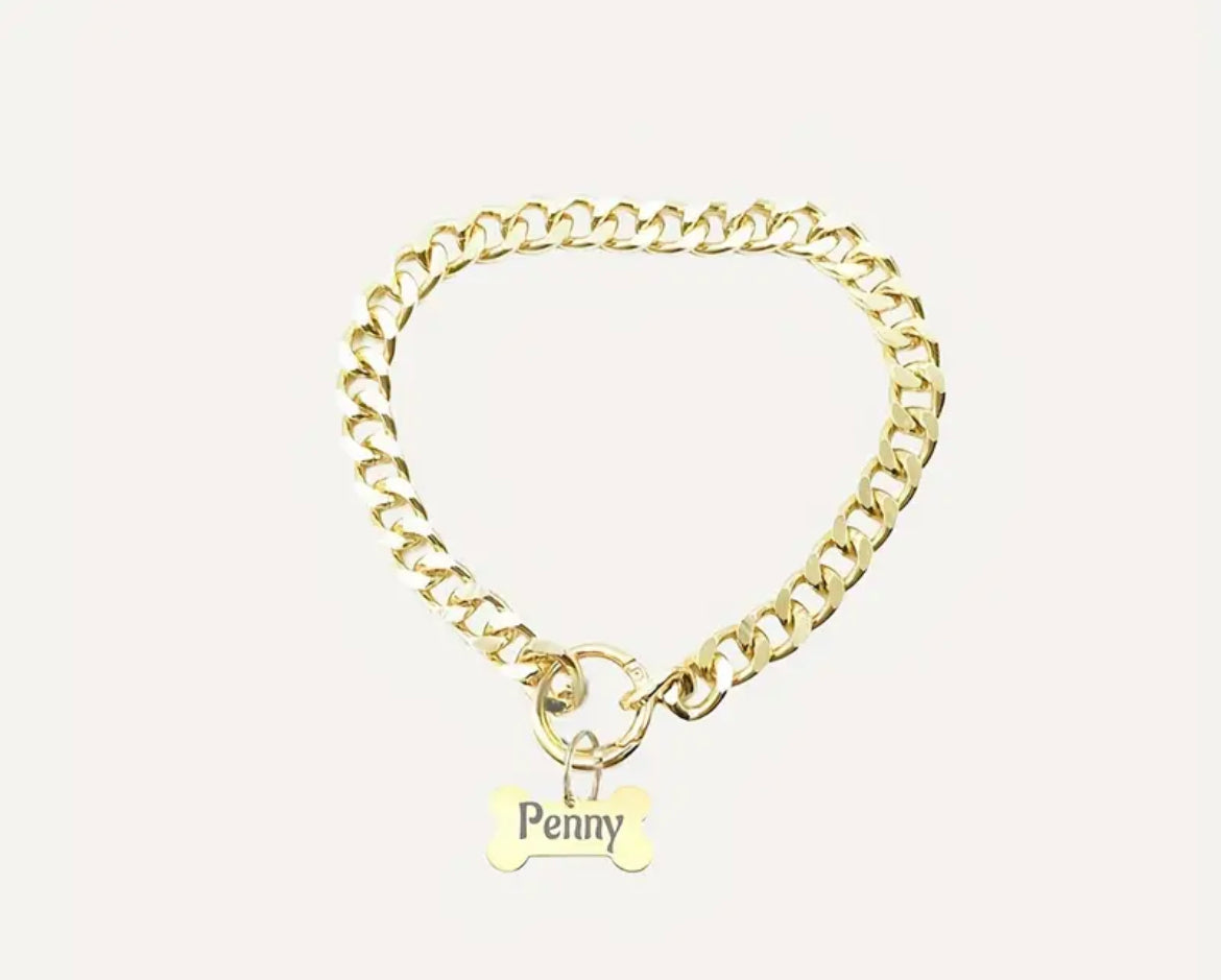 Sleek Stainless Steel Personalized Pet Tag Necklace