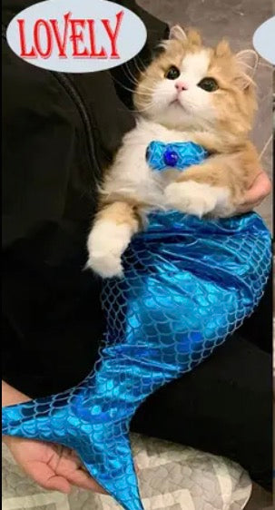 Pet Mermaid Bathing-Suit Costumes | Knit Elastane Fabric, Pullover Style