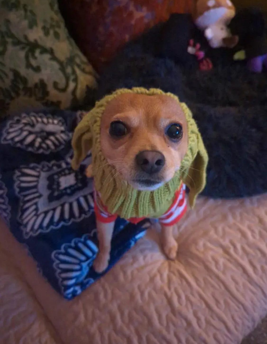 Posh Pets 🐾 “Baby Yoda” 1pc Knitted Ear Muffs Hat-Scarf