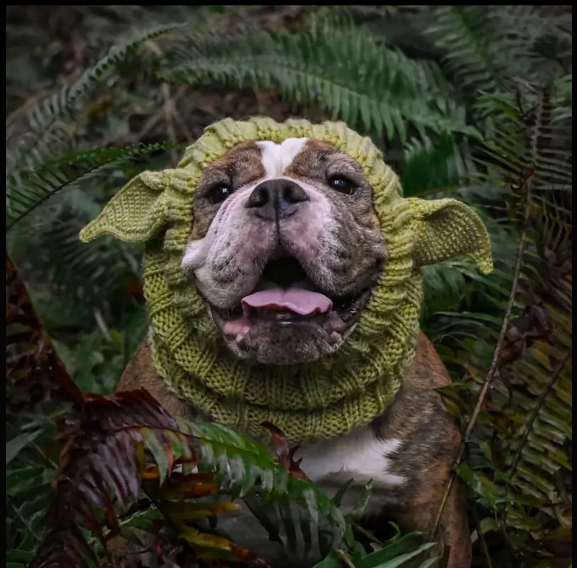 Posh Pets 🐾 “Baby Yoda” 1pc Knitted Ear Muffs Hat-Scarf