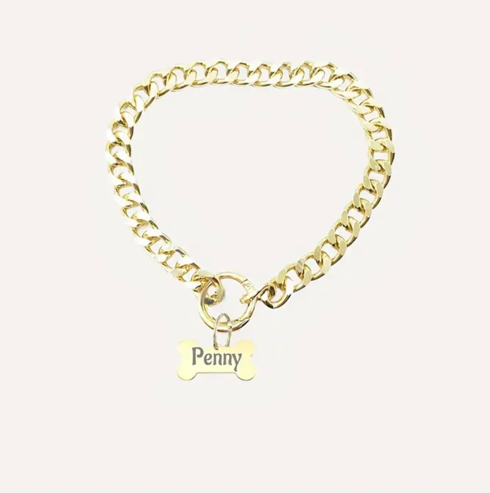 Sleek Stainless Steel Personalized Pet Tag Necklace