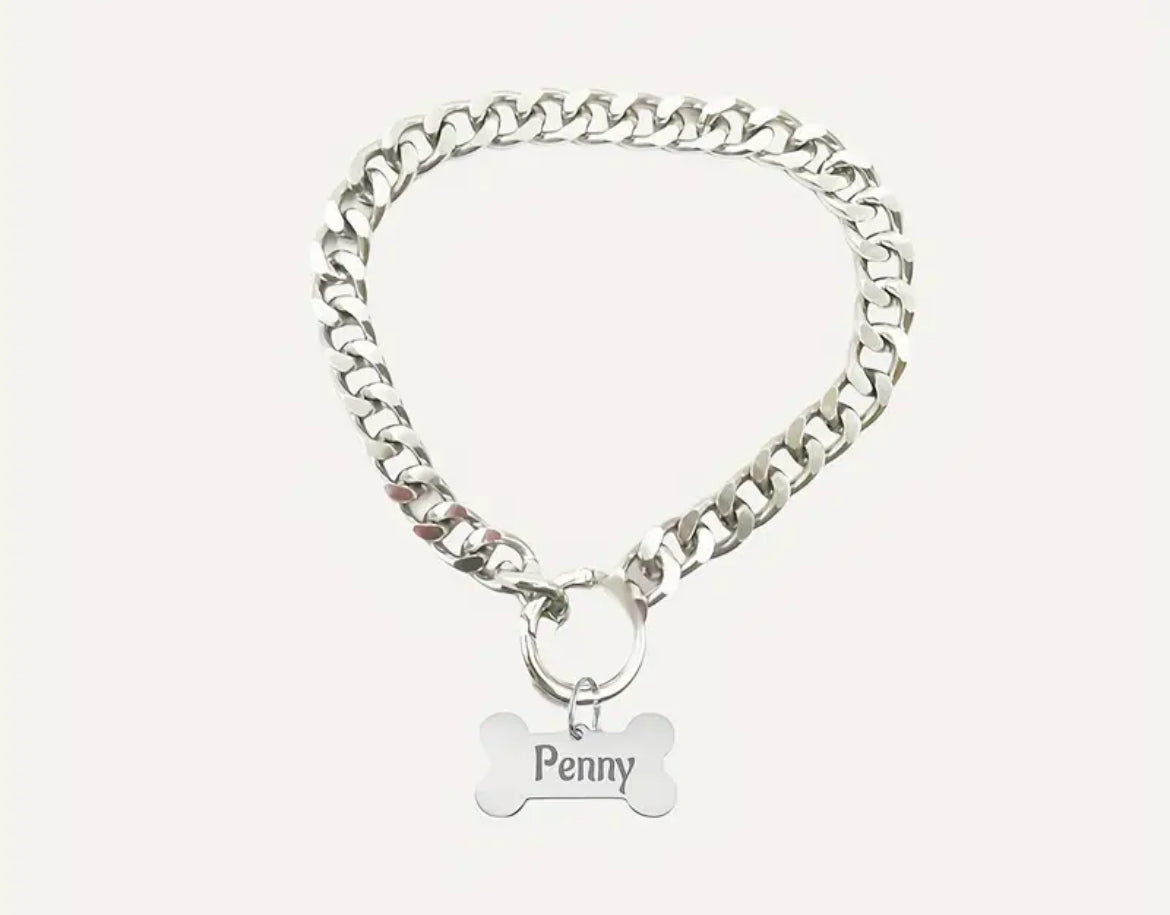 Sleek Stainless Steel Personalized Pet Tag Necklace