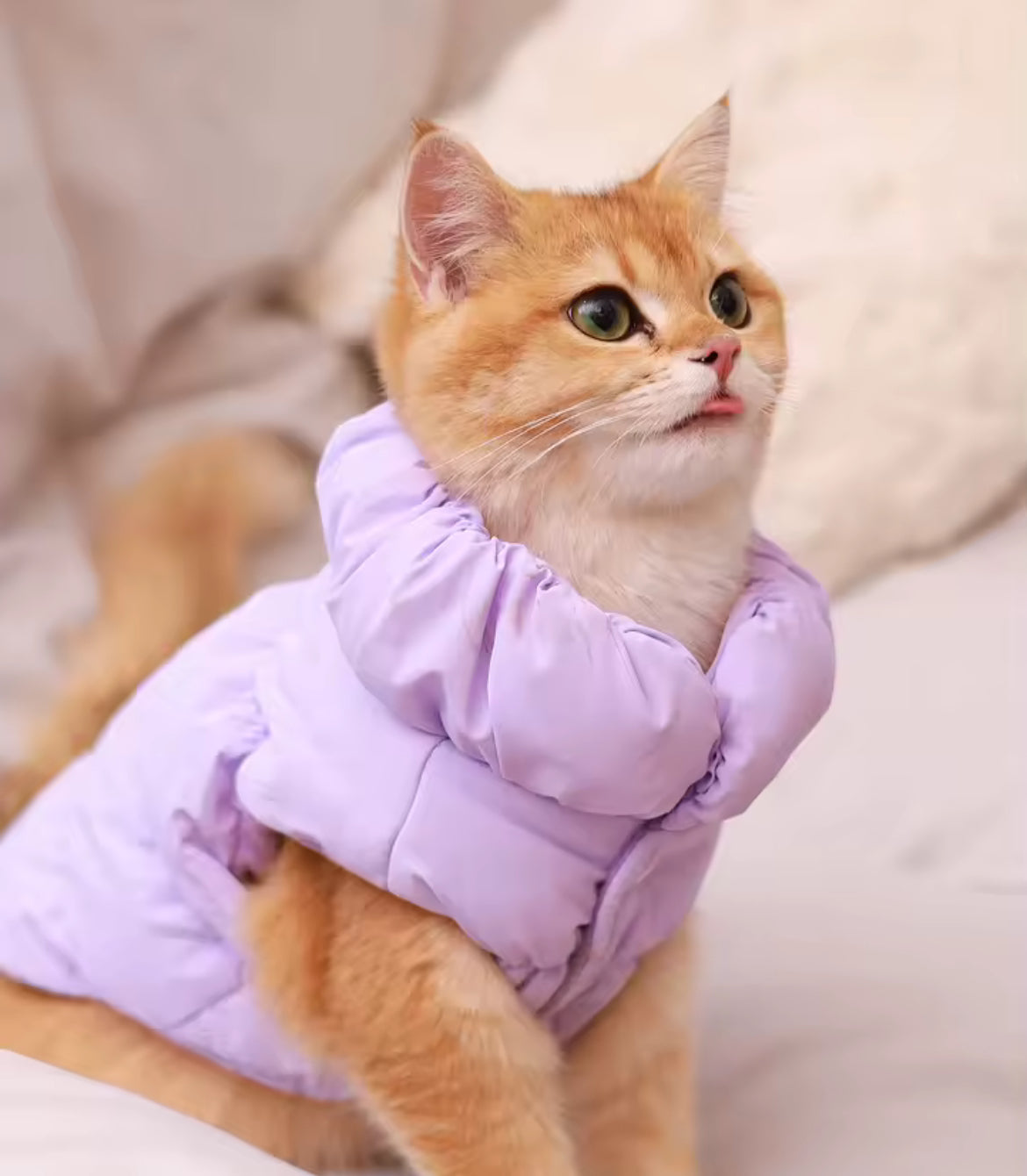 “Puff Posh Pets” 3-Layer Thick Warm Outerwear Winter Coat