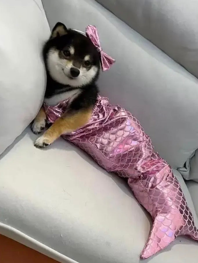 Pet Mermaid Bathing-Suit Costumes | Knit Elastane Fabric, Pullover Style