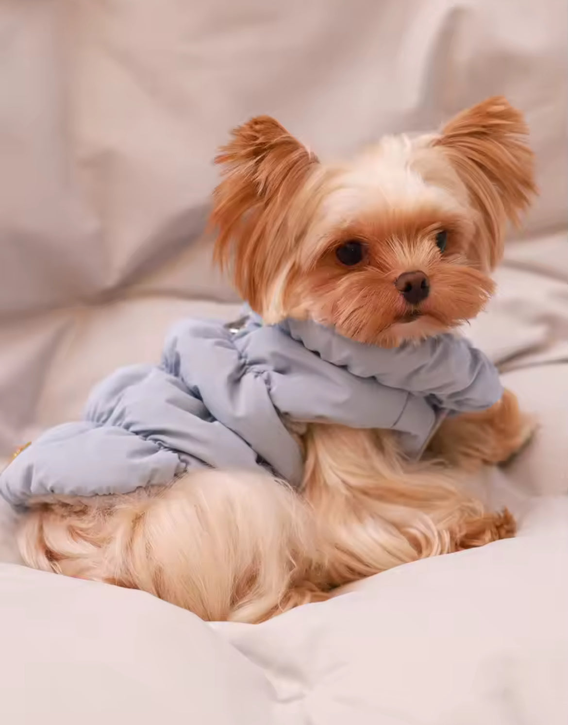 “Puff Posh Pets” 3-Layer Thick Warm Outerwear Winter Coat