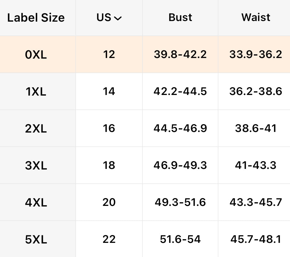 Elegant Plus Size Women's V-Neck with Lace Detail | Sheer Mesh Long Tulle Dress