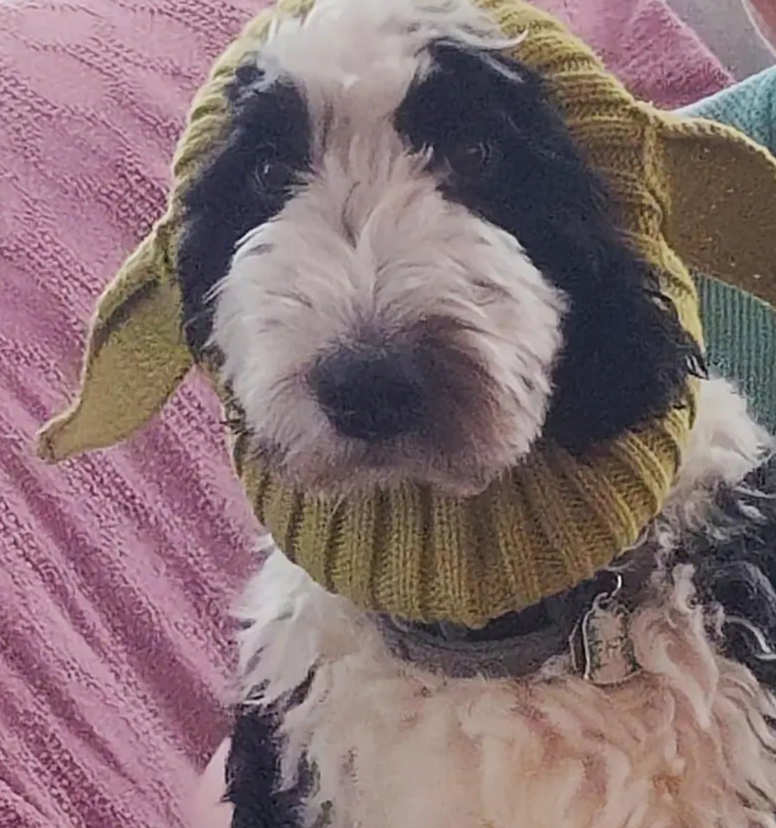 Posh Pets 🐾 “Baby Yoda” 1pc Knitted Ear Muffs Hat-Scarf